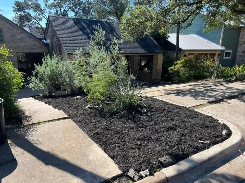 Landscaping, gutters, and trees after IMG_4607